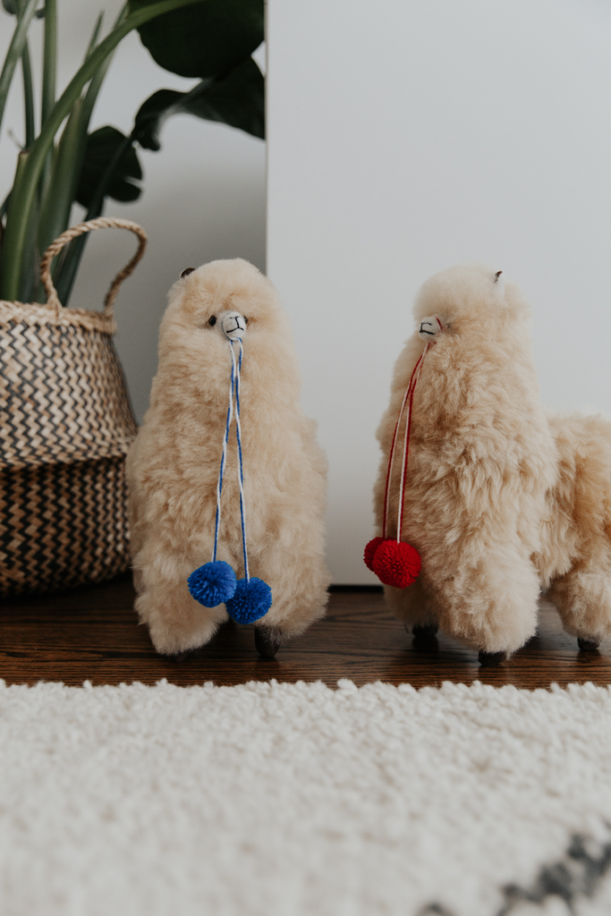 PomPoms, Accessories & Gift Bundles